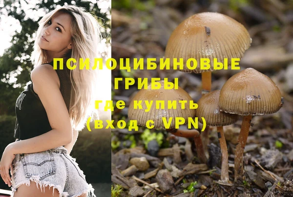 скорость Козельск