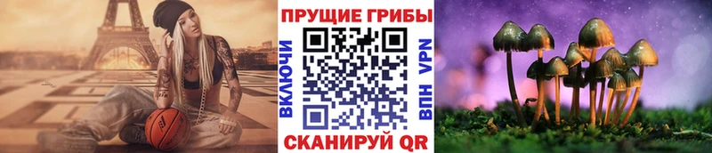 Псилоцибиновые грибы ЛСД  Купить закладки  Заинск 